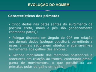 EVOLUÇÃO DO HOMEM Características dos primatas Cinco dedos nas patas (antes do surgimento da postura ereta, mãos e pés são genericamente chamados patas); Polegar disposto em ângulo de 90° em relação aos demais dedos (polegar opositor), permitindo a esses animais segurarem objetos e agarrarem-se firmemente aos galhos das árvores; Grande mobilidade dos membros posteriores e anteriores em relação ao tronco, conferindo ampla gama de movimentos, o que possibilitou aos primatas pular de galho em galho; 