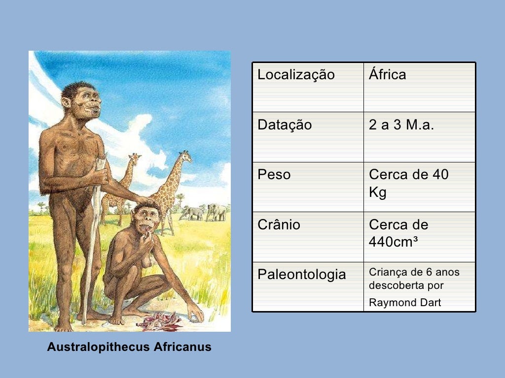 Enem O Homem Evoluiu Independentemente De Teoria