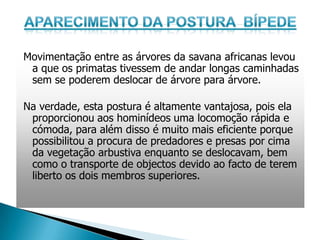Movimentação entre as árvores da savana africanas levou
 a que os primatas tivessem de andar longas caminhadas
 sem se poderem deslocar de árvore para árvore.

Na verdade, esta postura é altamente vantajosa, pois ela
 proporcionou aos hominídeos uma locomoção rápida e
 cómoda, para além disso é muito mais eficiente porque
 possibilitou a procura de predadores e presas por cima
 da vegetação arbustiva enquanto se deslocavam, bem
 como o transporte de objectos devido ao facto de terem
 liberto os dois membros superiores.
 