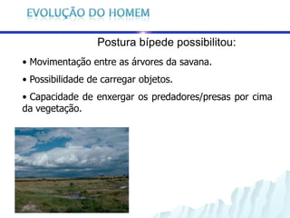 Postura bípede possibilitou:
• Movimentação entre as árvores da savana.
• Possibilidade de carregar objetos.
• Capacidade de enxergar os predadores/presas por cima
da vegetação.
 