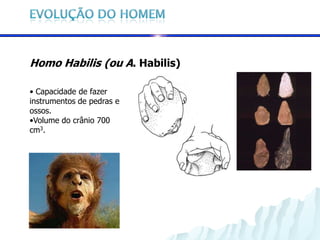 Homo Habilis (ou A. Habilis)

• Capacidade de fazer
instrumentos de pedras e
ossos.
•Volume do crânio 700
cm3.
 