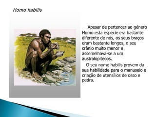Homo habilis


                  Apesar de pertencer ao género
               Homo esta espécie era bastante
               diferente de nós, os seus braços
               eram bastante longos, o seu
               crânio muito menor e
               assemelhava-se a um
               australopitecos.
                 O seu nome habilis provem da
               sua habilidade para o manuseio e
               criação de utensílios de osso e
               pedra.
 