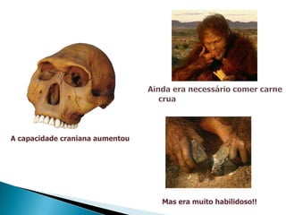 A capacidade craniana aumentou




                                 Mas era muito habilidoso!!
 