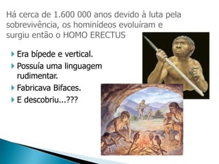  Era bípede e vertical.
 Possuía uma linguagem
  rudimentar.
 Fabricava Bifaces.
 E descobriu...???
 