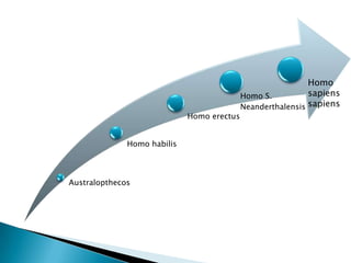 Homo
                                            Homo S.          sapiens
                                            Neanderthalensis sapiens
                             Homo erectus


              Homo habilis



Australopthecos
 