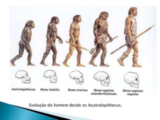 Evolução do homem desde os Australopithecus.
 