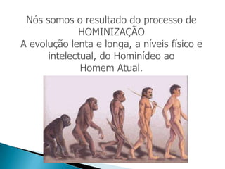 Evolução humana