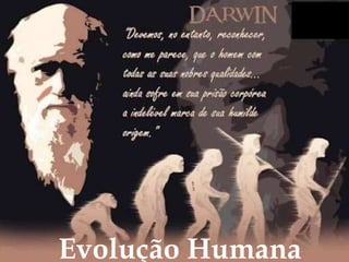 Evolução Humana
 