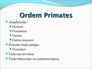 Ordem Primates
Atualmente:
Homem
Prossímios
Társios
Outros macacos

Primata mais antigo:
Plesiadapis

Vida nas árvores;
Visão binocular ou estereoscópica;

 