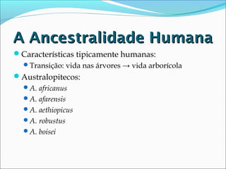 A Ancestralidade Humana
Características tipicamente humanas:
Transição: vida nas árvores → vida arborícola

Australopitecos:
A. africanus
A. afarensis
A. aethiopicus
A. robustus
A. boisei

 