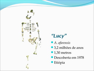 “Lucy”
A. afarensis
3,2 milhões de anos
1,30 metros
Descoberta em 1978
Etiópia

 