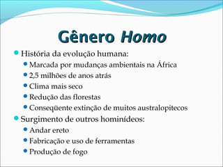 Gênero Homo
História da evolução humana:
Marcada por mudanças ambientais na África
2,5 milhões de anos atrás
Clima mais seco
Redução das florestas
Conseqüente extinção de muitos australopitecos

Surgimento de outros hominídeos:
Andar ereto
Fabricação e uso de ferramentas
Produção de fogo

 