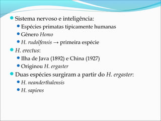 Sistema nervoso e inteligência:
Espécies primatas tipicamente humanas
Gênero Homo
H. rudolfensis → primeira espécie

H. erectus:
Ilha de Java (1892) e China (1927)
Originou H. ergaster

Duas espécies surgiram a partir do H. ergaster:
H. neanderthalensis
H. sapiens

 