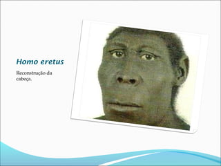 Homo eretus
Reconstrução da
cabeça.

 