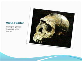 Homo ergaster
Linhagem que deu
origem ao Homo
sapiens.

 