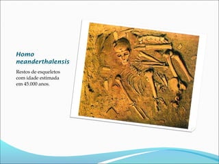 Homo
neanderthalensis
Restos de esqueletos
com idade estimada
em 45.000 anos.

 