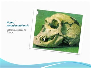 Homo
neanderthalensis
Crânio encontrado na
França.

 