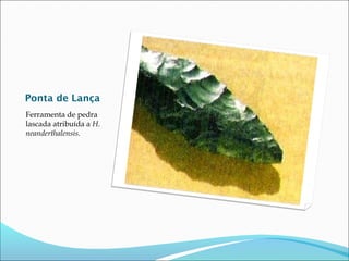 Ponta de Lança
Ferramenta de pedra
lascada atribuída a H.
neanderthalensis.

 