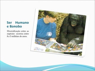 Ser Humano
e Bonobo
Diversificação entre as
espécies ocorreu entre
8 e 5 milhões de anos.

 
