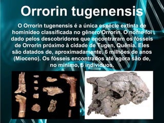 Orrorin tugenensis
O Orrorin tugenensis é a única espécie extinta de
hominídeo classificada no gênero Orrorin. O nome foi
dado pelos descobridores que encontraram os fósseis
de Orrorin próximo à cidade de Tugen, Quênia. Eles
são datados de, aproximadamente, 6 milhões de anos
(Mioceno). Os fósseis encontrados até agora são de,
no mínimo, 5 indivíduos.
 