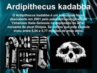Ardipithecus kadabba
O Ardipithecus kadabba é um hominídeo fóssil
descoberto em 2001 pelo paleoantropólogo etíope
Yohannes Haile-Selassie na depressão de Affar,
noroeste da atual Etiópia. Se estima que esta espécie
viveu entre 5,54 e 5,77 milhões de anos atrás.
 