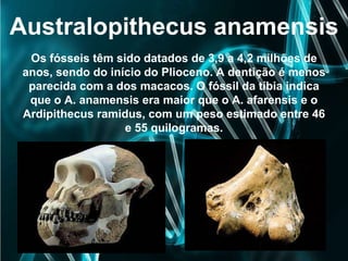 Australopithecus anamensis
Os fósseis têm sido datados de 3,9 a 4,2 milhões de
anos, sendo do início do Plioceno. A dentição é menos
parecida com a dos macacos. O fóssil da tíbia indica
que o A. anamensis era maior que o A. afarensis e o
Ardipithecus ramidus, com um peso estimado entre 46
e 55 quilogramas.
 