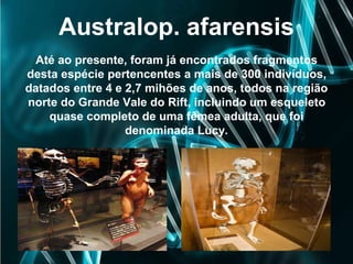Australop. afarensis
Até ao presente, foram já encontrados fragmentos
desta espécie pertencentes a mais de 300 indivíduos,
datados entre 4 e 2,7 mihões de anos, todos na região
norte do Grande Vale do Rift, incluindo um esqueleto
quase completo de uma fêmea adulta, que foi
denominada Lucy.
 