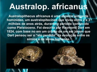 Australop. africanus
Australopithecus africanus é uma espécie antiga de
hominídeo, um australopitecíneo que viveu entre 2 e 3
milhões de anos atrás, durante o período conhecido
como Pleistoceno. Foi descrita por Raymond Dart em
1924, com base no em um crânio de um ser jovem que
Dart pensou ser o “elo perdido” da evolução entre os
símios e os seres humanos.
 
