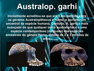 Australop. garhi
Inicialmente acreditou-se que era o elo perdido entre
os géneros Australopithecus e Homo, e portanto um
ancestral da espécie humana. Contudo, A. garhi é mais
avançado do que qualquer outro australipiteco e uma
espécie contemporânea (ou quase) das espécies
ancestrais do género Homo, datada de 2 e 3 milhões de
anos.
 