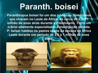 Paranth. boisei
Paranthropus boisei foi um dos primeiros hominídeos
que viveram no Leste da África, de cerca de 2 até 1
milhão de anos atrás durante o Pleistoceno. Tinha um
crânio altamente especializado à mastigação pesada.
P. boisei habitou os pastos secos da savana da África
Leste durante um período de 2,5 a 1 milhão de anos
atrás.
 