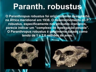 Paranth. robustus
O Paranthropus robustus foi originalmente descoberto
na África meridional em 1938. O desenvolvimento do P.
robustus, especificamente nos atributos cranianos,
parecia indicar um "complexo de mastigação pesada".
O Paranthropus robustus é geralmente datado como
tendo de 1 a 2,6 milhões de anos.
 