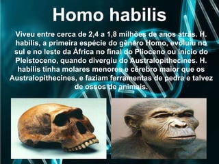 Homo habilis
Viveu entre cerca de 2,4 a 1,8 milhões de anos atrás. H.
habilis, a primeira espécie do gênero Homo, evoluiu no
sul e no leste da África no final do Plioceno ou início do
Pleistoceno, quando divergiu do Australopithecines. H.
habilis tinha molares menores e cérebro maior que os
Australopithecines, e faziam ferramentas de pedra e talvez
de ossos de animais.
 