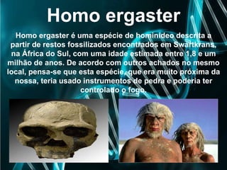 Homo ergaster
Homo ergaster é uma espécie de hominídeo descrita a
partir de restos fossilizados encontrados em Swartkrans,
na África do Sul, com uma idade estimada entre 1,8 e um
milhão de anos. De acordo com outros achados no mesmo
local, pensa-se que esta espécie, que era muito próxima da
nossa, teria usado instrumentos de pedra e poderia ter
controlado o fogo.
 
