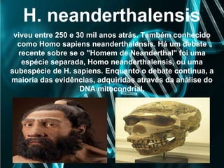 H. neanderthalensis
viveu entre 250 e 30 mil anos atrás. Também conhecido
como Homo sapiens neanderthalensis. Há um debate
recente sobre se o "Homem de Neanderthal" foi uma
espécie separada, Homo neanderthalensis, ou uma
subespécie de H. sapiens. Enquanto o debate continua, a
maioria das evidências, adquiridas através da análise do
DNA mitocondrial.
 