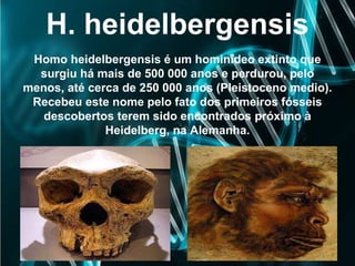 H. heidelbergensis
Homo heidelbergensis é um hominídeo extinto que
surgiu há mais de 500 000 anos e perdurou, pelo
menos, até cerca de 250 000 anos (Pleistoceno medio).
Recebeu este nome pelo fato dos primeiros fósseis
descobertos terem sido encontrados próximo à
Heidelberg, na Alemanha.
 