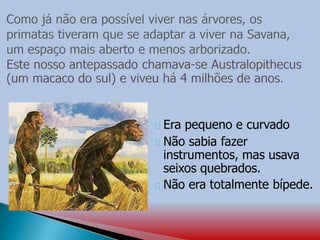 Era pequeno e curvado
Não sabia fazer
instrumentos, mas usava
seixos quebrados.
Não era totalmente bípede.
 