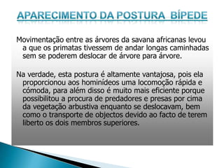 Movimentação entre as árvores da savana africanas levou
a que os primatas tivessem de andar longas caminhadas
sem se poderem deslocar de árvore para árvore.
Na verdade, esta postura é altamente vantajosa, pois ela
proporcionou aos hominídeos uma locomoção rápida e
cómoda, para além disso é muito mais eficiente porque
possibilitou a procura de predadores e presas por cima
da vegetação arbustiva enquanto se deslocavam, bem
como o transporte de objectos devido ao facto de terem
liberto os dois membros superiores.
 