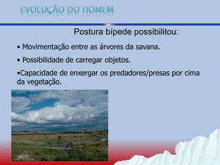 Postura bípede possibilitou:
• Movimentação entre as árvores da savana.
• Possibilidade de carregar objetos.
•Capacidade de enxergar os predadores/presas por cima
da vegetação.
 