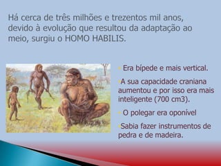 • Era bípede e mais vertical.
•A sua capacidade craniana
aumentou e por isso era mais
inteligente (700 cm3).
• O polegar era oponível
•Sabia fazer instrumentos de
pedra e de madeira.
 