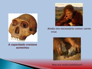A capacidade craniana
aumentou
Mas era muito habilidoso!!
 