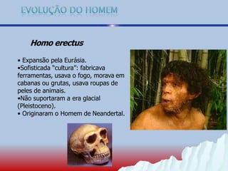 Homo erectus
• Expansão pela Eurásia.
•Sofisticada “cultura”: fabricava
ferramentas, usava o fogo, morava em
cabanas ou grutas, usava roupas de
peles de animais.
•Não suportaram a era glacial
(Pleistoceno).
• Originaram o Homem de Neandertal.
 