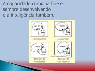 Evolução da Humanidade - Genêro Homo.pptx