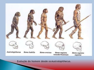 Evolução do homem desde os Australopithecus.
 