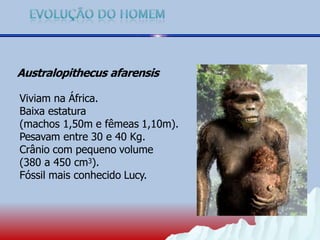 Australopithecus afarensis
Viviam na África.
Baixa estatura
(machos 1,50m e fêmeas 1,10m).
Pesavam entre 30 e 40 Kg.
Crânio com pequeno volume
(380 a 450 cm3).
Fóssil mais conhecido Lucy.
 