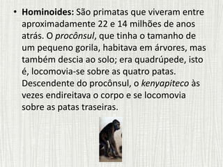 • Hominoides: São primatas que viveram entre
aproximadamente 22 e 14 milhões de anos
atrás. O procônsul, que tinha o tamanho de
um pequeno gorila, habitava em árvores, mas
também descia ao solo; era quadrúpede, isto
é, locomovia-se sobre as quatro patas.
Descendente do procônsul, o kenyapiteco às
vezes endireitava o corpo e se locomovia
sobre as patas traseiras.
 