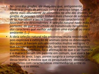 • No caso das girafas, ele imaginou que, antigamente,
haveria animais de pescoço curto e pescoço longo. Com a
oferta mais abundante de alimentos no alto das árvores, as
girafas de pescoço longo tinham mais chance de sobreviver,
de se reproduzir e assim transmitir essa característica
favorável aos descendentes. A seleção natural nada mais é,
portanto, do que o resultado da transmissão hereditária
dos caracteres que melhor adaptam uma espécie ao meio
ambiente. [...]
• A ideia seleção natural não encontrou muita resistência,
pois explicava a extinção de animais como os dinossauros,
dos quais já haviam sido encontrados muitos vestígios. O
que causou grande indignação, tanto nos meios religiosos
quanto nos científicos, foi a afirmação de que o ser humano
e o macaco teriam um parente em comum, que vivera há
milhões de anos. Logo, porém surgiria a comprovação
dessa teoria, à medida que os pesquisadores descobriam
esqueletos com características intermediárias entre os
humanos e os símios.
 