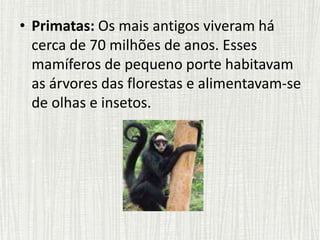 • Primatas: Os mais antigos viveram há
cerca de 70 milhões de anos. Esses
mamíferos de pequeno porte habitavam
as árvores das florestas e alimentavam-se
de olhas e insetos.
 