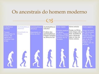 
Os ancestrais do homem moderno
 