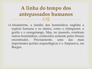 
 Atualmente, a família dos hominídeos engloba a
espécie humana e os símios, como o chimpanzé, o
gorila e o orangotango. Mas, no passado, existiram
outros hominídeos, conhecidos somente pelos fósseis
encontrados. Precisamente, uma das mais
importantes jazidas arqueológicas é a Atapuerca, em
Burgos.
A linha do tempo dos
antepassados humanos
 