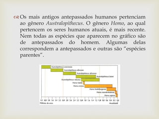  Os mais antigos antepassados humanos pertenciam
ao gênero Australopithecus. O gênero Homo, ao qual
pertencem os seres humanos atuais, é mais recente.
Nem todas as espécies que aparecem no gráfico são
de antepassados do homem. Algumas delas
correspondem a antepassados e outras são “espécies
parentes”.
 